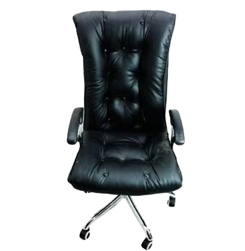 Director Chair